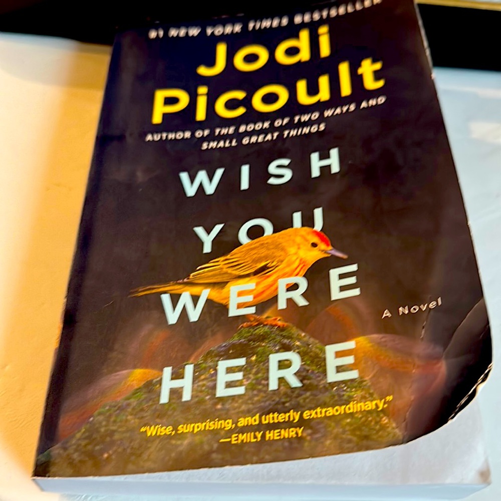 #1 NEW YORK TIMES BESTSELLER
Jodi
Picoult